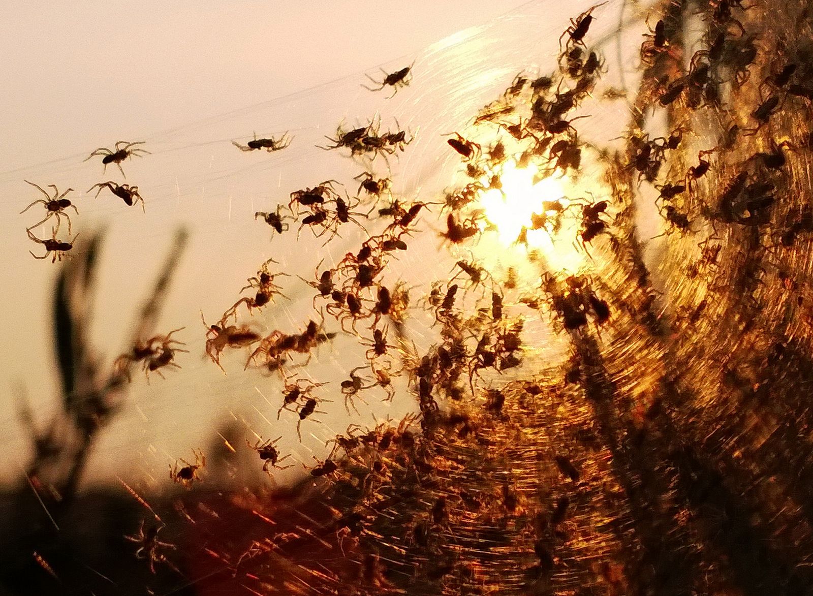 Tak fotografuje się Lumiami! 8