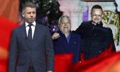 Człowiek Orbana odchodzi z polityki. Magyar stanowczo reaguje
