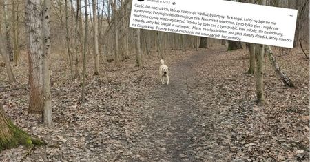 Wrocławianie przerażeni. "Stał pod kościołem i chciał wejść do środka"