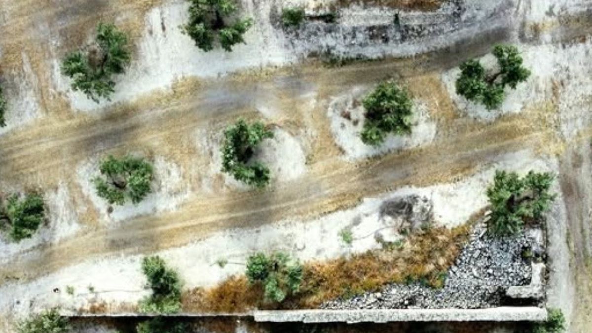 Niezwykłe odkrycie w Hiszpanii