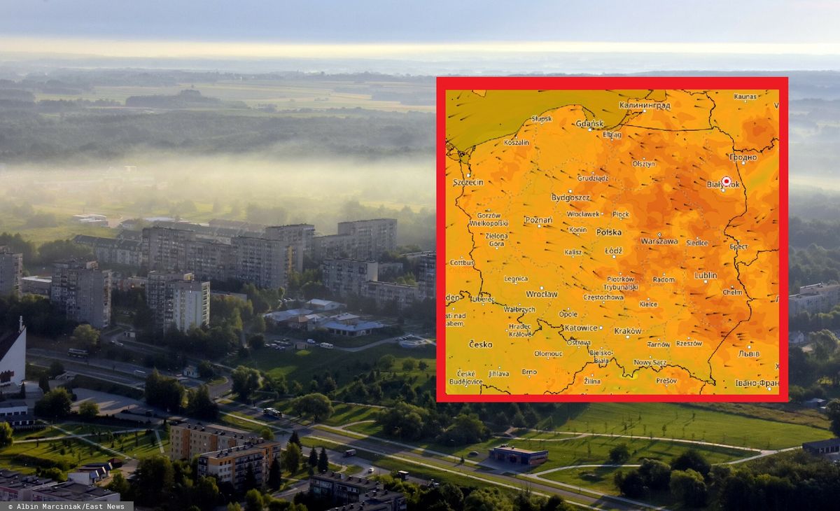Żółty pył nad Polską. Skąd się wziął?