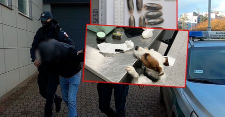 Polak połknął 88 kapsułek kokainy. Wpadł na lotnisku