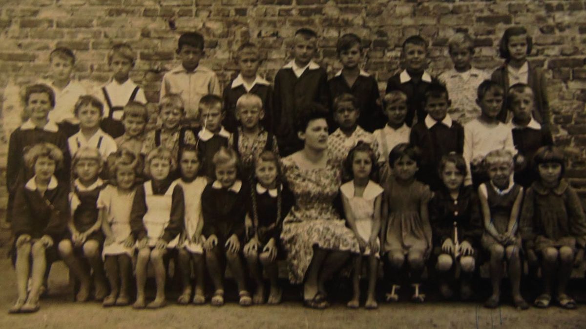 Moja Szkoła "20"