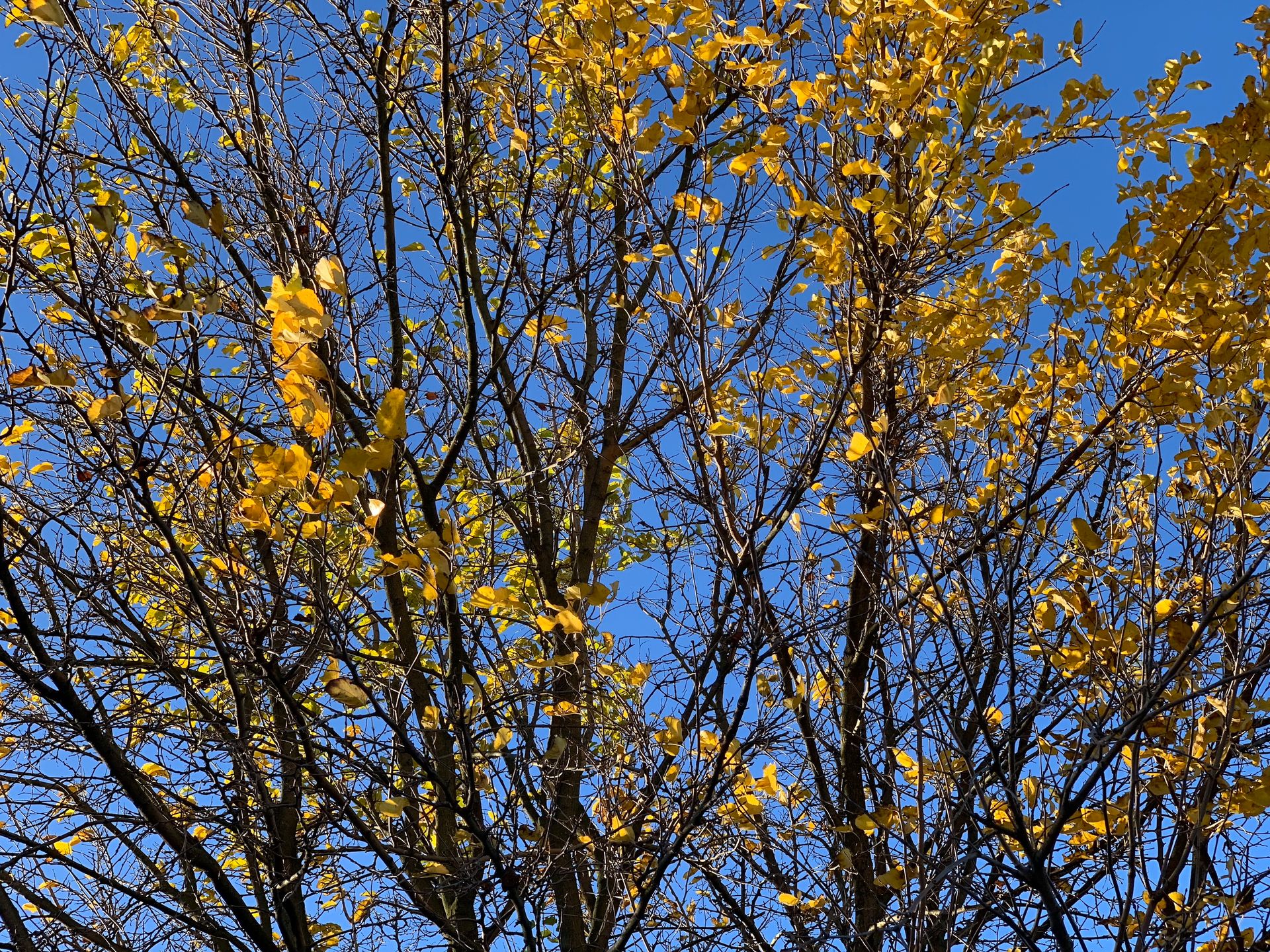 iPhone XS Max, czyli więcej tego samego, ale drożej [TEST] 29