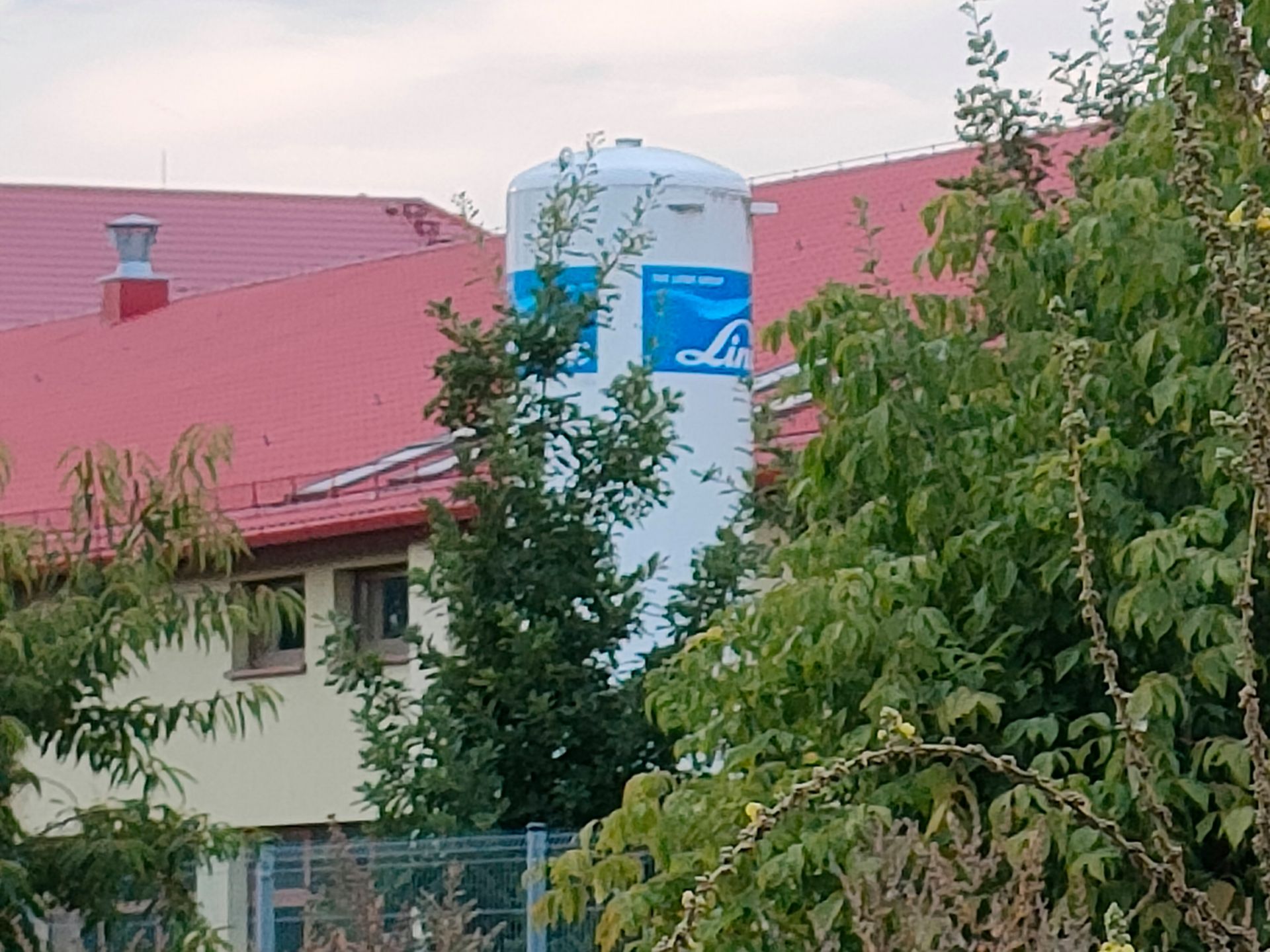 Test realme GT Master Edition. Czy faktycznie jest królem średniej półki? 11
