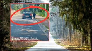Szokujące nagranie krąży w sieci. Kucyk na smyczy, samochód obok