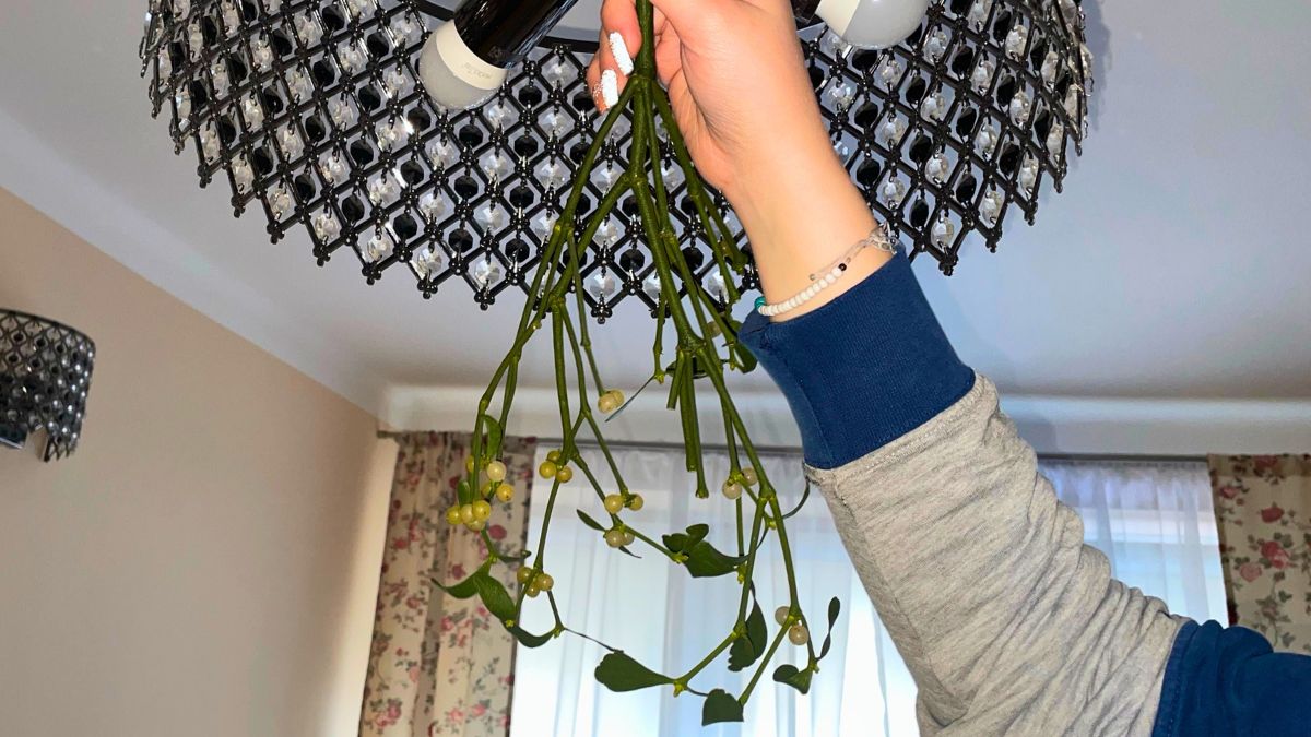 Kobieta trzyma jemiołę