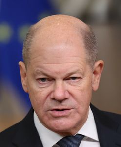 Scholz krzyknął do Dudy? "Nawet nie macie euro"