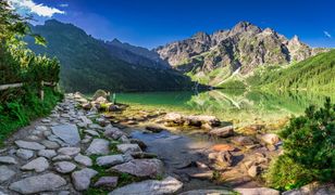 Sensacja nad Morskim Okiem. "Wychodzi spod wody i żeruje"