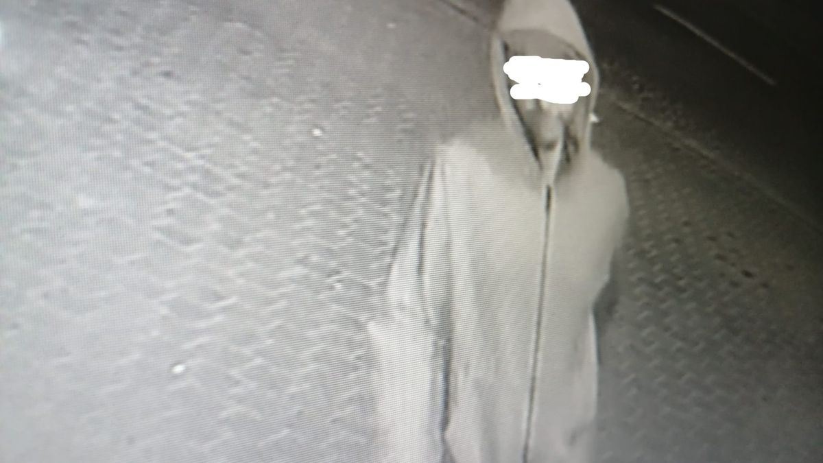 Wandal wdarł się na teren kwiaciarni