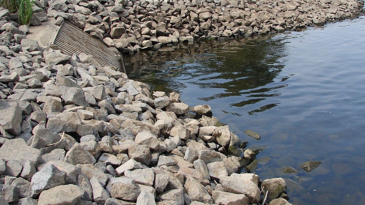 Martwy płód znaleziono na kratce w oczyszczalni ścieków. Zdj. ilustracyjne 