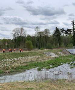 Poszukiwania 3,5-letniego Kacperka. Krzysztof Rutkowski wykluczył dwa scenariusze