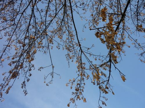 Krótki test: Panasonic Lumix LS85 10