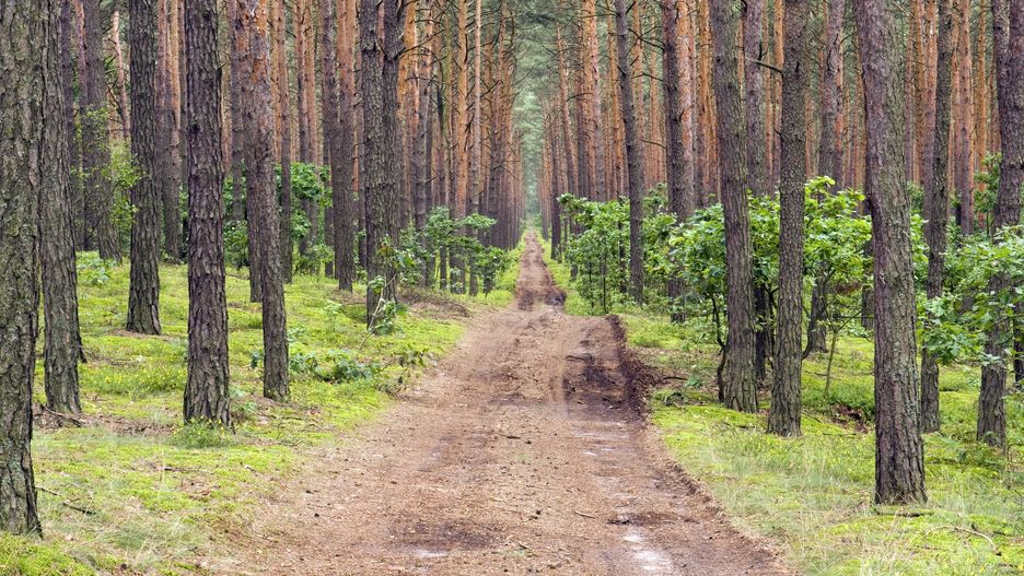 Kampinoski Park Narodowy