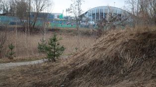 Włocławek: Powstanie Park Grzywno. Miasto dostało na to ponad 20 milionów złotych