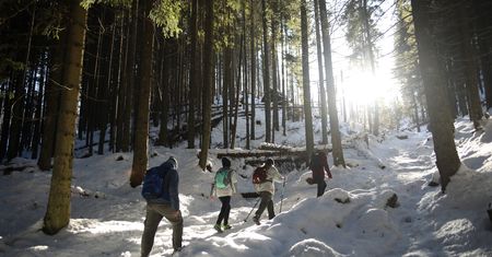 Trudne warunki w Tatrach. Śnieg, lód i silny wiatr