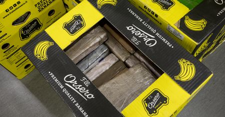 Wpadł menadżer Lidla z Czech. Towar ukrywał w kartonach po bananach