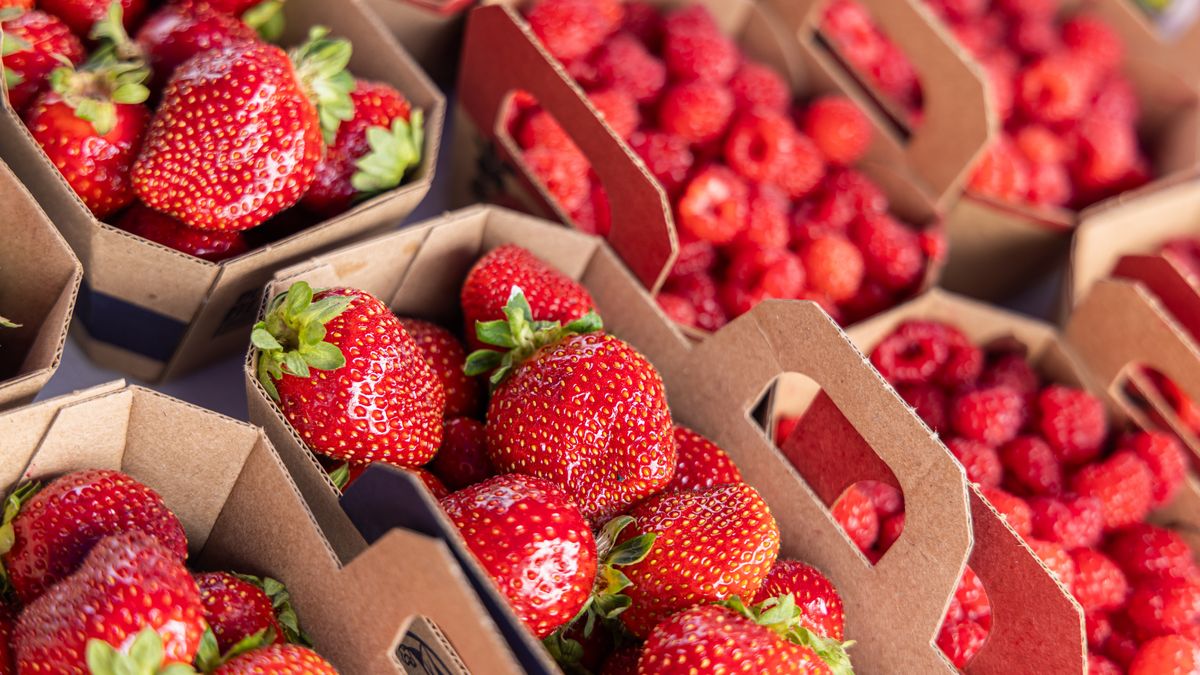 Polskie truskawki poznasz po kształcie i zapachu