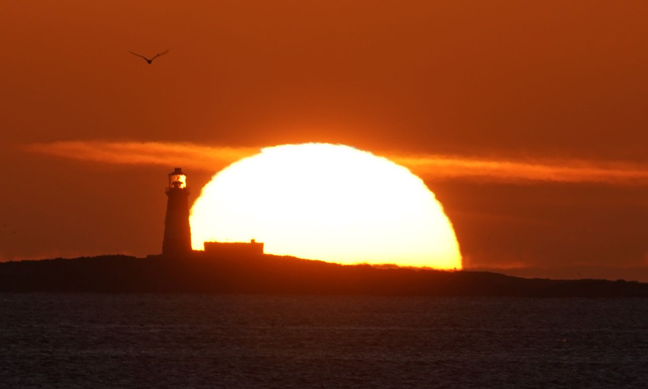 German experts predict record hot summer.