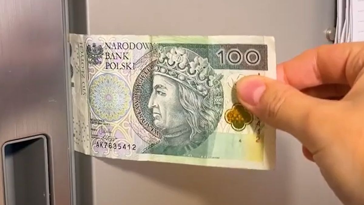 Test na szczelność lodówki z banknotem