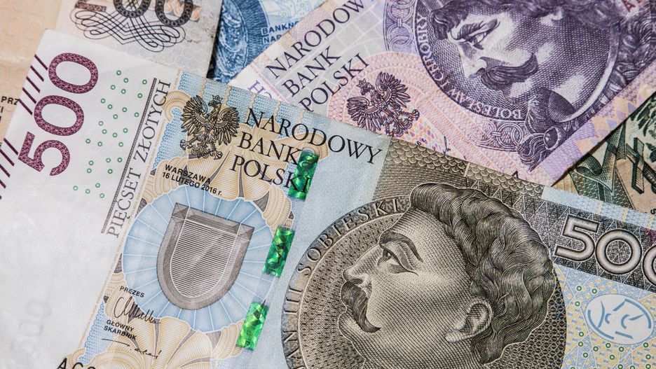 paper, zloty, currency, business, finance, money, bill, banking, closeup, poland, polish, cash, wealth, banknote, macro, background, financial, bank, pln, economy, isolated, 50, savings, note, pay, exchange, fifty, green, tax, loan, hundred, investment, market, rich, european, pattern, blue, europe, income, payment, concept, profit, stack, fortune, white, portrait, king, earnings, one, debt