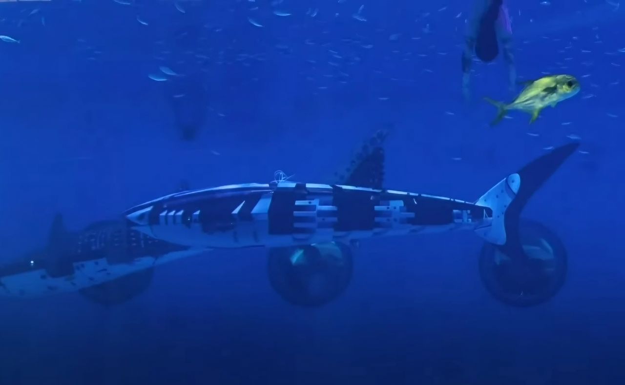 China's robotic whale shark: A breakthrough in bionic technology