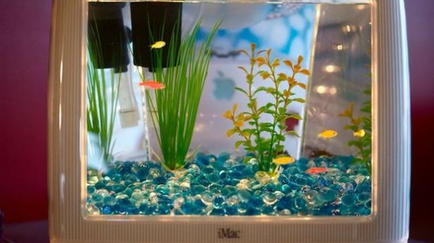 Akwaria też mogą być szalone. Zobacz 15 najdziwniejszych mieszkań dla ryb 1