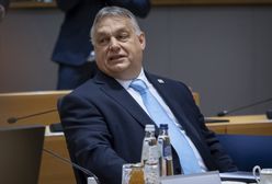 Tyle zarabia Orban. Węgrzy mogą o tym pomarzyć
