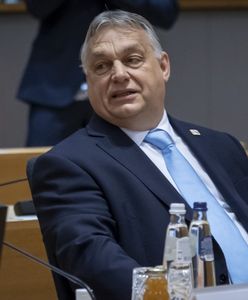 Tyle zarabia Orban. Węgrzy mogą o tym pomarzyć