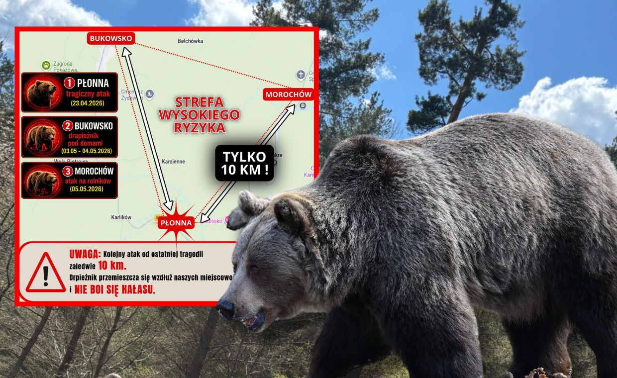 Patrole policji jeździły całą noc. "Odpędzone niedźwiedzie wracały"