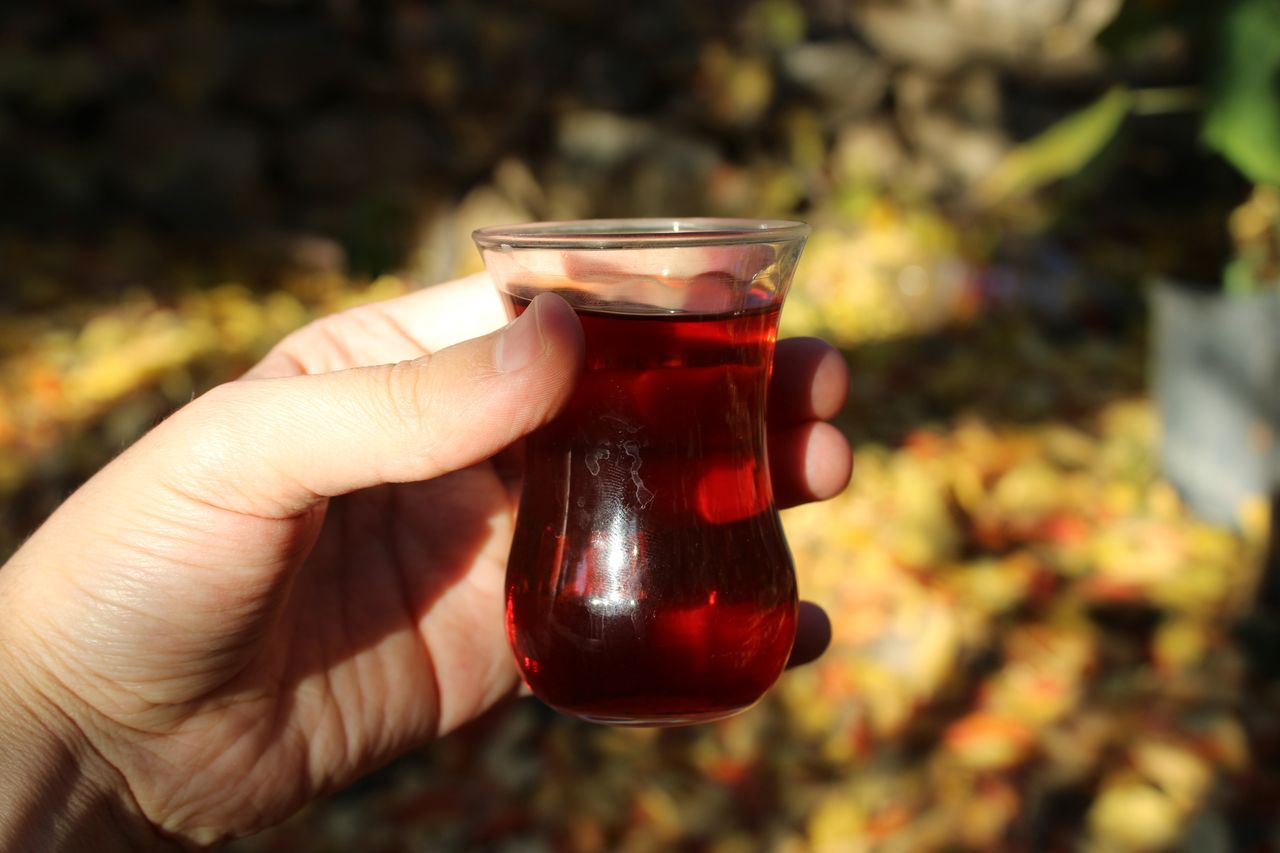 Unearthing the 'marsh elixir': Cranberry juice as a health powerhouse