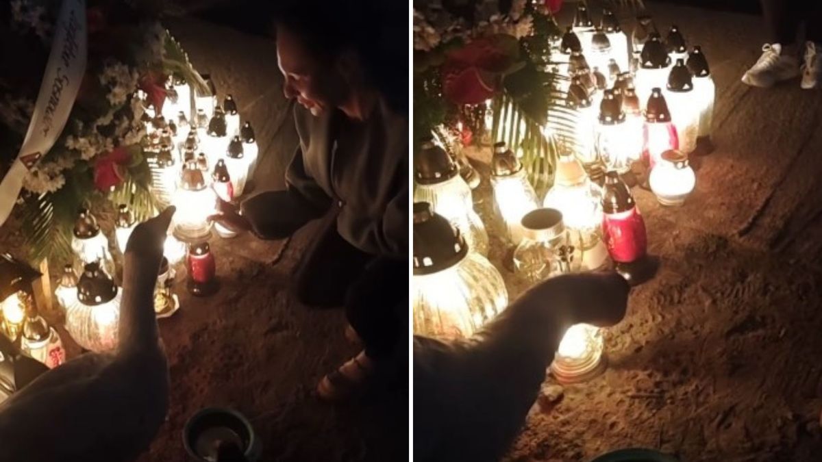 Wyjątkowe pożegnanie Litewki – nie tylko ludzie, ale i zwierzęta