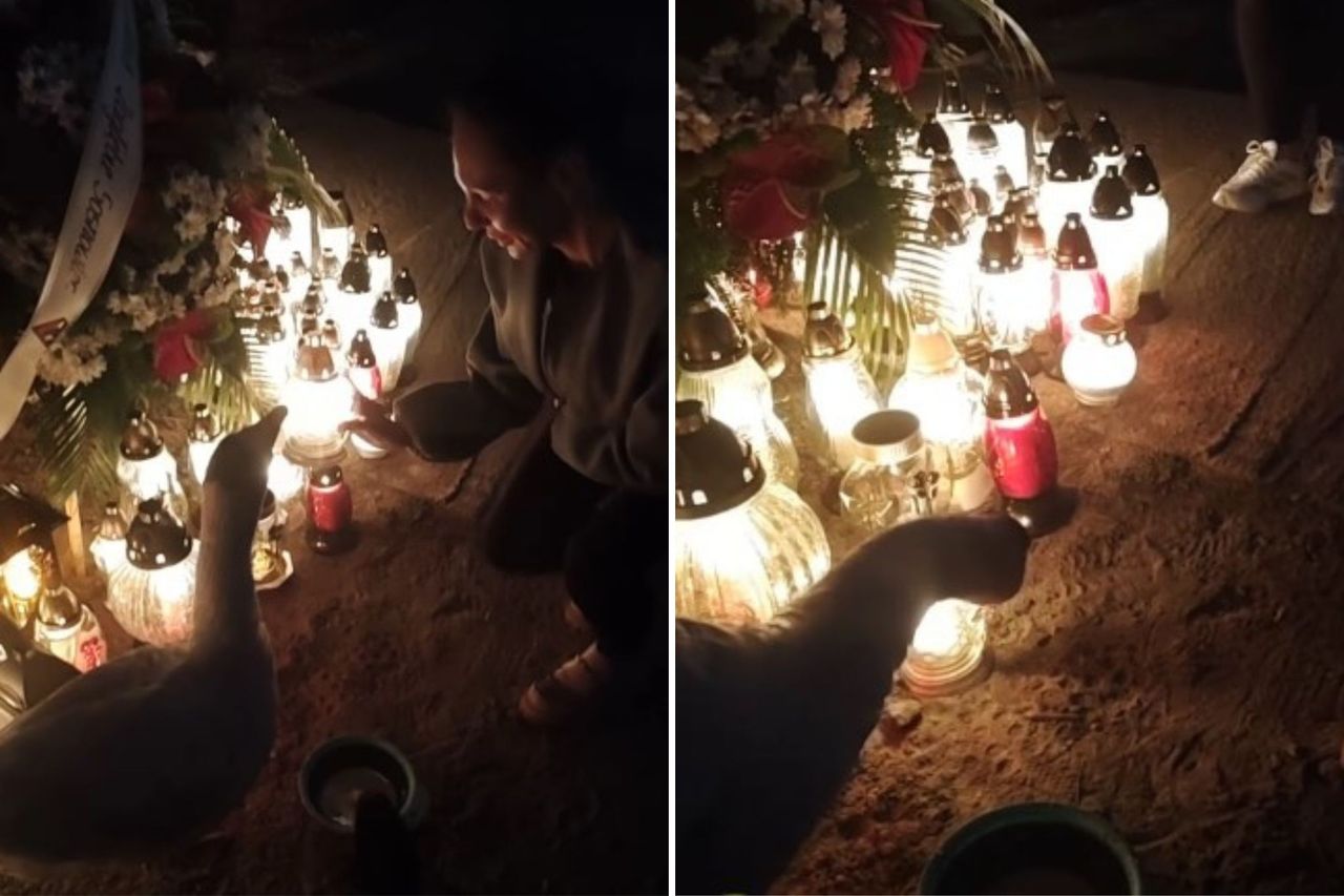 Tuż po zmroku przy grobie Litewki. Nagrali ten moment. Już 1 mln wyświetleń