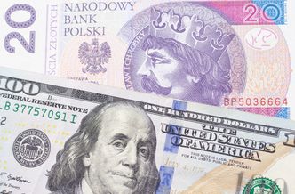 Starcie stronnictw w RPP. Czy ta sytuacja zaszkodzi mocnemu złotemu?