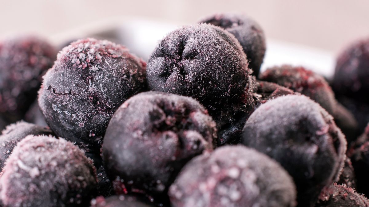 Aronia - często mylona z borówkami