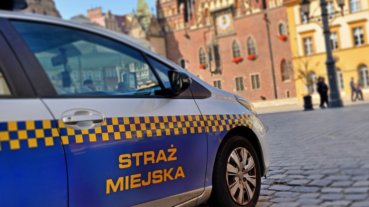 Straż miejska patrol samochód