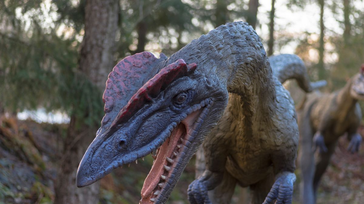 Park dinozaurów to atrakcja dla całej rodziny