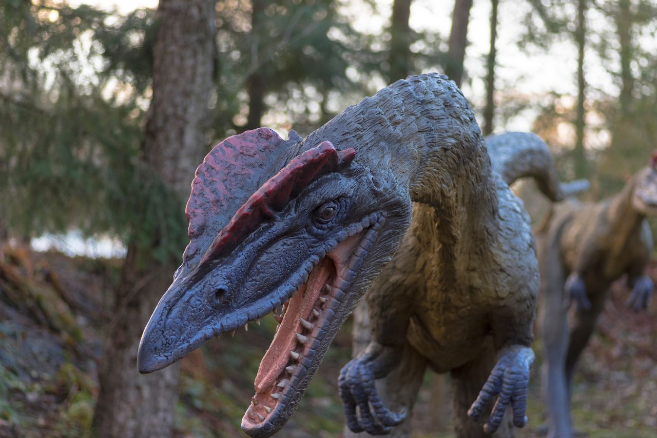 Spacer po świecie prehistorii. Najlepsze parki dinozaurów w Polsce