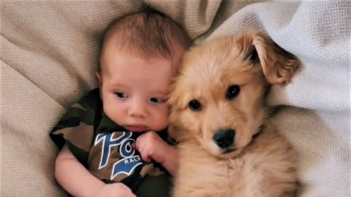 Widok, który rozbroił nawet Marcina Dubiela 