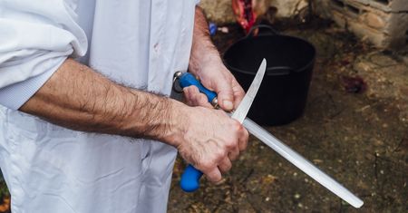 Dramat na Pomorzu. Wstrząsające wyniki kontroli w ubojni zwierząt