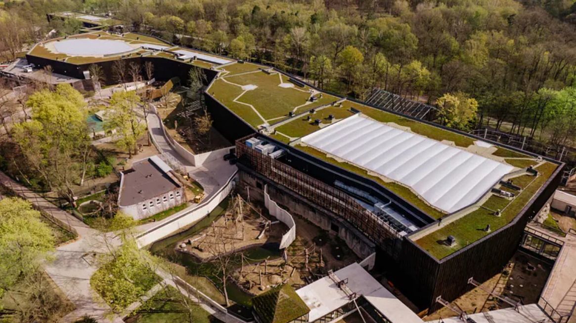 Zoo w centrum województwa łódzkiego przyciąga wielu turystów