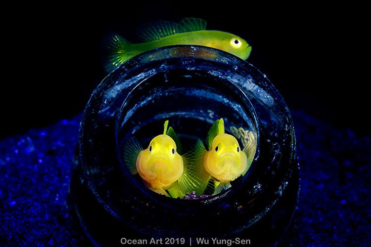 Tragiczny los przyrody na zdjęciach Ocean Art Photo Contest 6