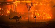 To zdjęcie jest symbolem pożarów w Australii. Pokazuje siłę żywiołu