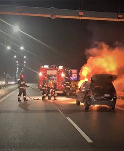 Mikołów. Zaniedbała swój samochód, ten spłonął