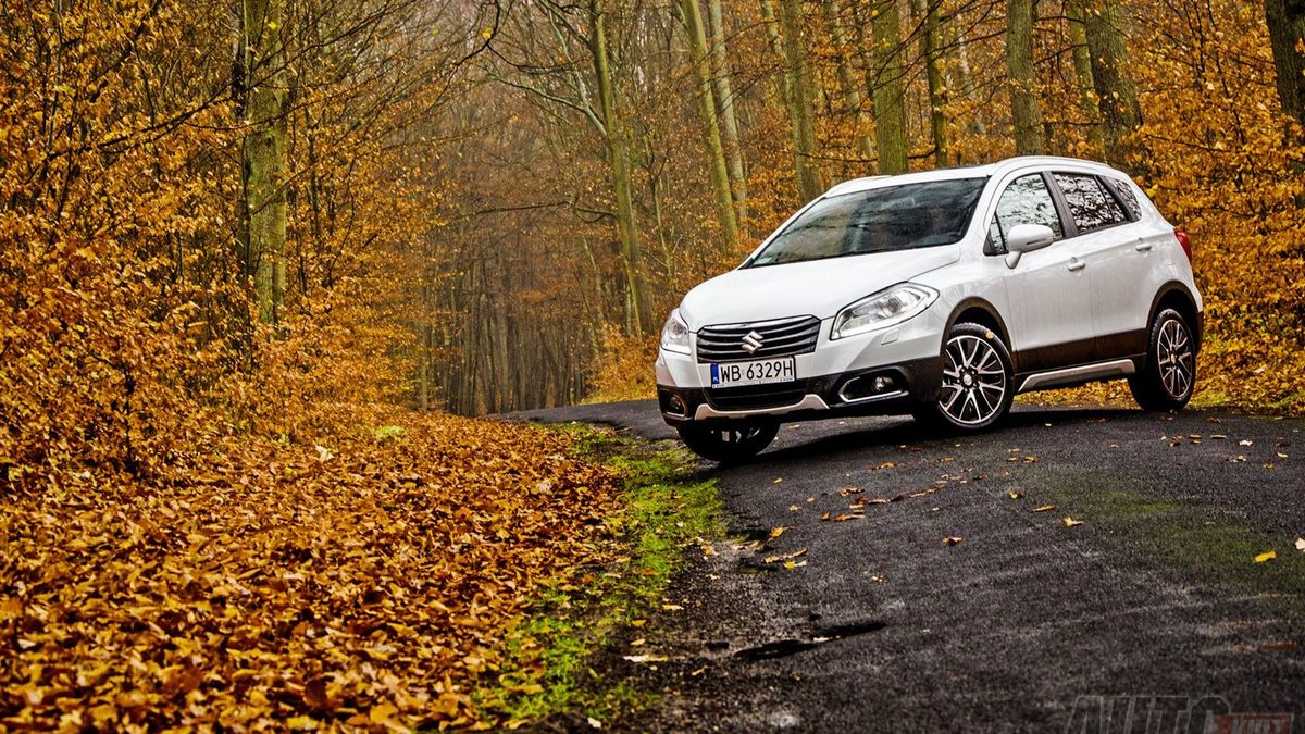 Zdjęcie ilustracyjne do artykułu