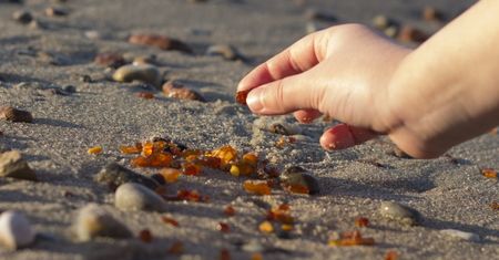 Ile kosztuje bursztyn w Polsce? W tych miejscach najlepiej go zbierać
