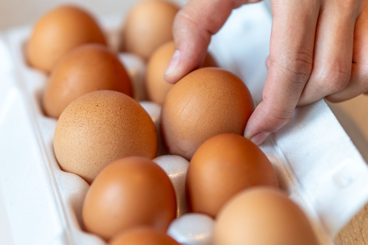Wystarczy niewielka zmiana, a jajka dłużej zachowają świeżość. Koniecznie wypróbuj