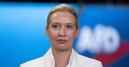 Nie będzie kolejnego landu dla AfD? Są wyniki nowego sondażu