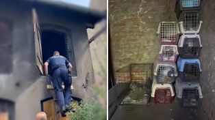 Wyłapywał gołębie i przetrzymywał w takich warunkach. Policjanci pokazali nagranie