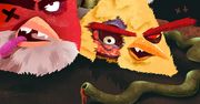 Zbliżają się Angry Birds bez reklam dla Androida
